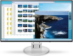 Eizo 24″ FlexScan EV2451-WT Biały recenzja