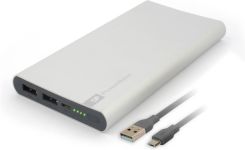 GP FP10M 10000mAh Srebrny recenzja