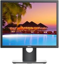 Dell 19” P1917S (210-AJBH) recenzja