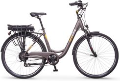 Ecobike City L Grey Pro 28″ 2019 recenzja