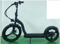 Ecorider Rider Monster 350W recenzja