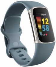 FITBIT Charge 5 Steel Blue Platinum Stainless Steel recenzja