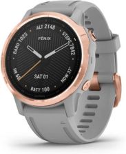 Garmin Fenix 6S Sapphire Różowo-Szary (0100215921) recenzja