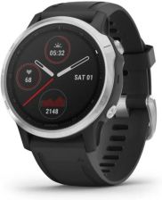 Garmin Fenix 6S Srebrno-Czarny (0100215901) recenzja