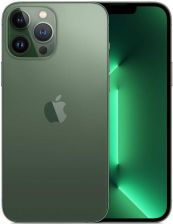 Apple iPhone 13 Pro Max 1TB Alpejska zieleń recenzja